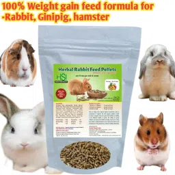 Mix-Fruits Rabbit feed pellets , ISO(9001-2015) certified, FSSAI Fruit 3 kg (2x1.5 kg) Dry Adult Rabbit Food-image-51