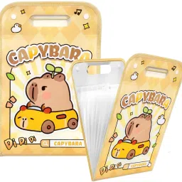 Plastic File Folder-picture-37