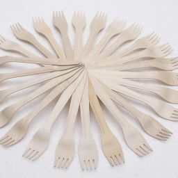Disposable Wooden Fork(100Pc) Disposable Wooden Roast Fork Set-20