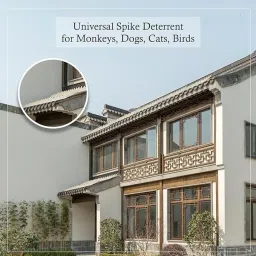 Bird Spike-picture-14