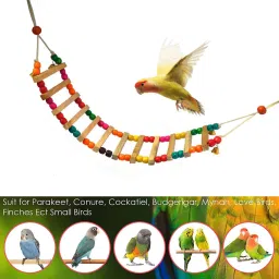 Wooden Stick For Bird-image-74