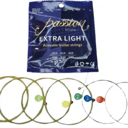 Acoustic PAG-010 Guitar String-25