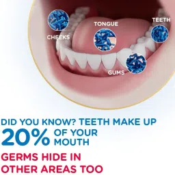 pepsodent Germicheck 8 Actions, Toothpaste With Anti-Germ Formula, Clove & Neem Oil Toothpaste image 4