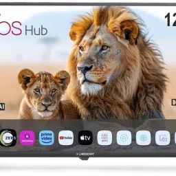 43 inch (43 inch) Full HD LED Smart WebOS TV-image-20