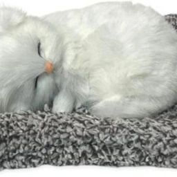 /Cute Kitten Decor - 15 cm-picture-22