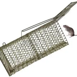 Rat trap Cage (Pinjra) Great Problam Solver For All Rat Rleavent Problams Live Trap-image-41