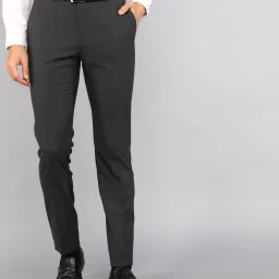 Men Slim Fit Grey Viscose Rayon Trousers-image-54