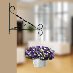 garden deco High Quality Twisted design Wall Mounted Shelf Bracket (Set of 4 Pcs) 30 cm Shelf Bracket image 5