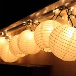 Hanging paper White Lantern 10Pack of L 12 inch 56 White Paper Hanging Lantern-image-57