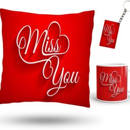 Cushion, Mug, Keychain Gift Set-4