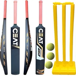 Combo Set Pvc Plastic Bat With Plastic Wicket Set 3 Stumps And 2 Tennis Ball Cricket Kit-image-2
