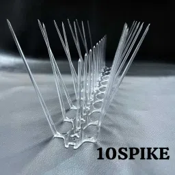 Bird Spike-13