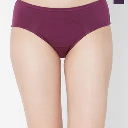 Juliet Pack Of 2 Self Design Cotton Period Briefs-picture-20