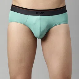 pivot Sea Green Men Solid Basic Briefs-picture-48
