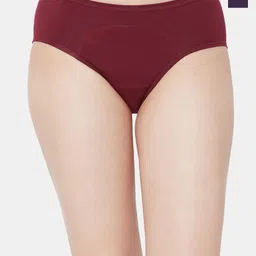 Juliet Pack Of 2 Cotton Period Briefs-image-18