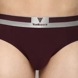 van heusen innerwear Van Heusen Men Colour Fresh Ultra Soft Briefs- IH6BR1PPW20002 image 4