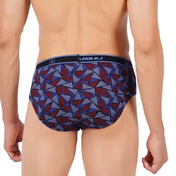 Ramraj Men Assorted Pack Of 4 Basic Briefs SparkleOE4P image 3