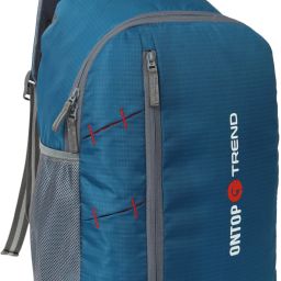 SKY BLUE 25 L Lightweight For School Collage Office Tuition and Picnic Backpack Waterproof Backpack-image-3