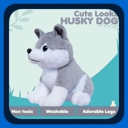 Teddy-Grey Huskey Dog Stuffed Toy For Kids-1 - 35 cm-image-89