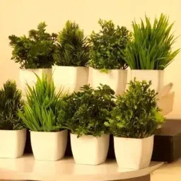 Pack of 8 Decorative Bonsai Wild Artificial Plant with Pot-12