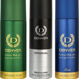 Hamilton Pride and Black Code Deodorant Spray - For Men-11