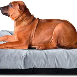 Rectangular Reversible Bed for Dog & Cat, Washable Velvet, Extra Large 100x120cm XL Pet Bed-image-87