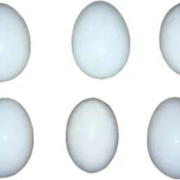 Bird Hen Pigeon Fake 6 Pcs Egg Toy For Playing Plastic Training Aid For Bird-23