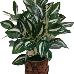 Natural Looking Money Plant with Stylish Coconut Pot Artificial Plant with Pot-28