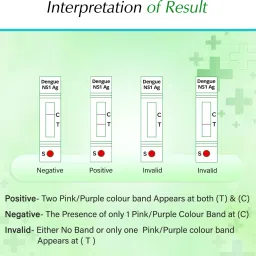 rapid news Dengue home detection Antigen Self Test Kit image 5