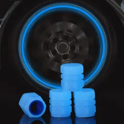 Plastic Tyre Valve Cap for Car-image-4