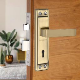 Brass Chrome Door levers-image-3