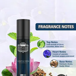 NEXT CARE Set Of 2 Long Lasting Fresh & Gentlemen Perfumes - 120 ml Each image 4
