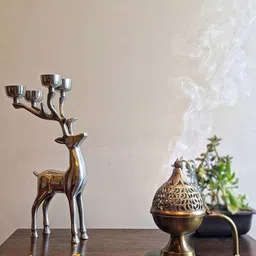 Ritualistic Gold Toned Textured Brass Aroma Oil Diffuser With Hand-24