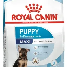 RYLCN Maxi Puppy Dog Food 1kg | High Protein & DHA for Growing Puppies" Dog Chew-image-3