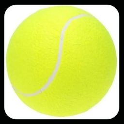 New-Tennis _129Pack of 6 Tennis Ball-image-95