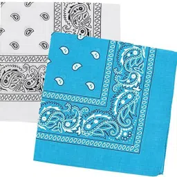 Bismaadh Cotton Paisley Pattern Bandana, Scarf and Handkerchief for Men & Women ["White","Sky Blue"] Handkerchief-image-84