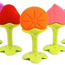 New_Nibbler Soother273 Teether-picture-14