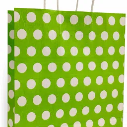 Printed Party Bag-13