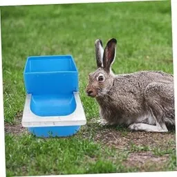 rabbit food feed box pack 5 Polypropylene Pet Bowl-image-4