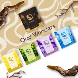 airganic Aroma Swing Combo Offer : Oud Wonder & Lemon Bee Car Freshener Diffuser image 5