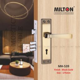Iron Glossy Handlesets-1