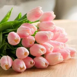 artificial pink and white tulip double shaded (pack of 5) Pink Tulips Artificial Flower-image-15