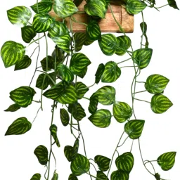 Falling Leaves Hanging in Wood Buckle Pot Wild Artificial Plant with Pot-image-19