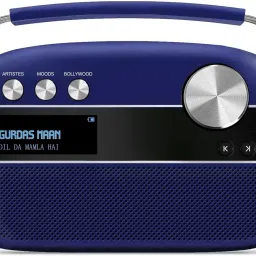 SAREGAMA Carvaan Premium Punjabi 10 W Bluetooth Home Theatre-16