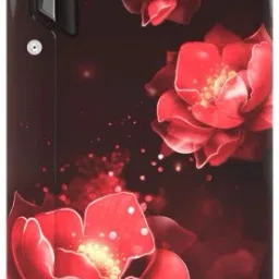 200 L Direct Cool Single Door 3 Star Refrigerator-3