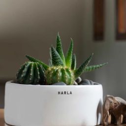 harla arts Lilac Stories Set Of 3 Multicolour Porcelain Floor Planters-picture-38
