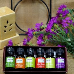 Fruit Aroma Oil-10