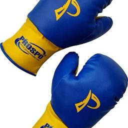 Laceless Glove for Kids,Youth 8oz Boxing Gloves-image-66