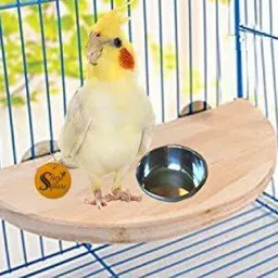 8.5Inch/21.5cm Natural Wood Platform, Removable Cup, Perch Stand Bird Toy Wooden Training Aid For Bird-picture-32