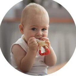 fusion fly Silicone Food/Fruit Nibbler, Soft Pacifier & Feeder Soother image 2